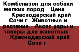 Комбенизон для собаки мелких пород › Цена ­ 650 - Краснодарский край, Сочи г. Животные и растения » Аксесcуары и товары для животных   . Краснодарский край,Сочи г.